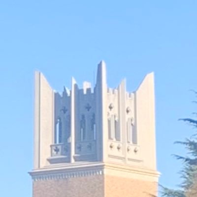 corection_'s profile picture. 裏垢女子、えっちなVtuberの動画など、自分の好きなコンテンツを保存しまくっています。