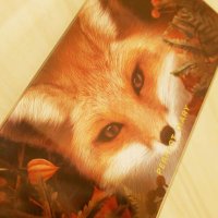 虚無 (@0x0_sw) 's Twitter Profile