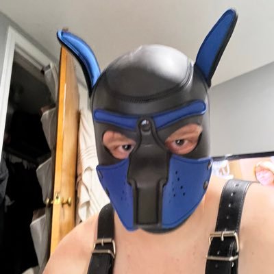 pigboixander's profile picture. just a piggy Btm exploring and gaping my hole.36yo. 18+ only