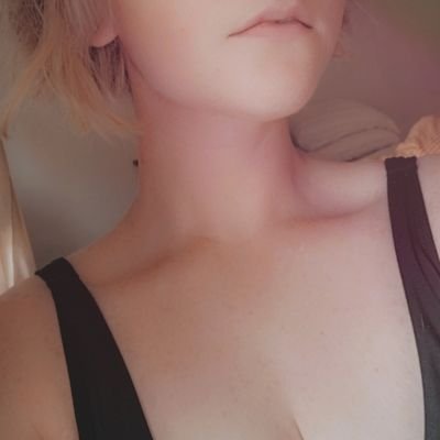 ragdoll_cutie's profile picture. 