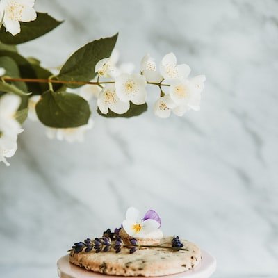 Modesta45198998's profile picture. 