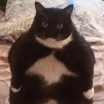 —さんのプロフィール画像