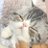 防弾ちゃんのアイコン