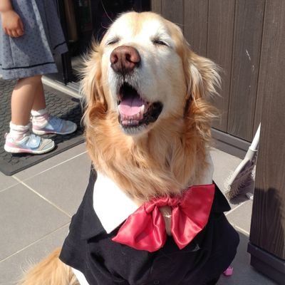 雑多雑食アカウント ジャンルもカプもごっちゃ混ぜ
💌 https://t.co/MbR5Dug9wp
お仕事のご連絡はこちらにあるメアドへ▶︎https://t.co/Ibwtu8aGom