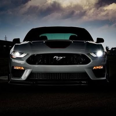 Magma_William's profile picture. 