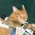 teh botol tawar (@esteheci) Twitter profile photo teh botol tawar (@esteheci) Twitter profile photo