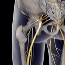 Steve Toll - @seatguy626 - Twitter