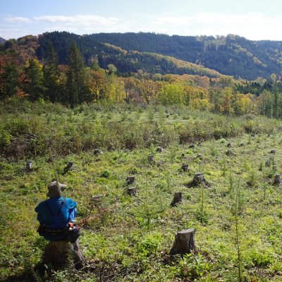 Researcher @FFPRI, tree eco-physiology/ root biology/ genomics, with a focus on boreal forest. Views my own.