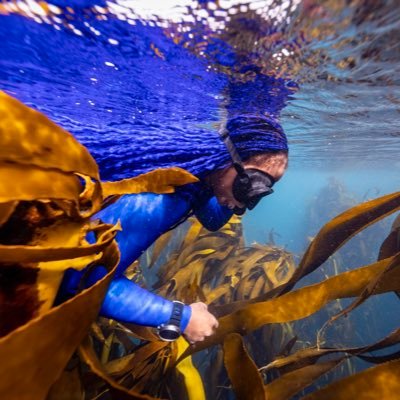 Creating Diversity in Diving & Ocean Spaces • Freedive Instructor & Scuba • #ChallengersClub • @paditv Ambassadiver • Black Mermaid Foundation 💙