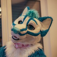 Slushie Husky 🔜 ? (@slushie_husky) 's Twitter Profile Photo Slushie Husky 🔜 ? (@slushie_husky) 's Twitter Profile Photo