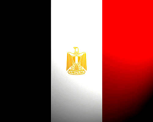 mahmoud nafea el rawy