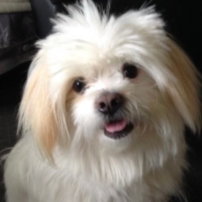 basschez29's profile picture. Illenial, Nikademis, Blanke, Trancefam, Anjunafam, well rounded musichead 🎶