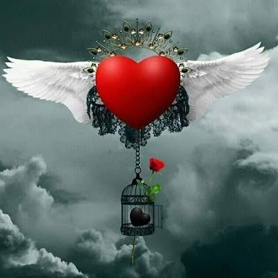 Maryami2257945's profile picture. 