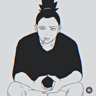 IRUTAS Profile