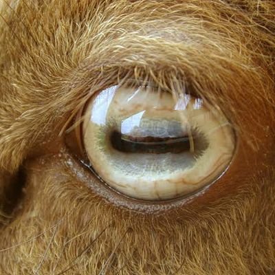 ugiGnYPbO0zirUS's profile picture. 日本🙇‍♂️