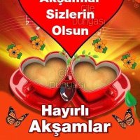 Mustafa Özlemiş (@mustafazlemi4) 's Twitter Profile