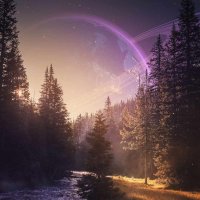 Rad1e3 (@rad1e3) 's Twitter Profile