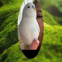 Minik_Tatlı_Bulut (@miniktatlibulut) 's Twitter Profile