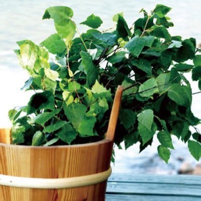 4amnUpUySEs2M0y's profile picture. zorn好きな方と仲良くなりたいです。切実に