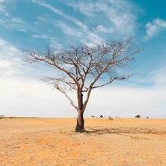 If you can't explain it simply, you don't understand it well enough.  -Albert Einstein