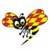 Expressen (@Expressen) Twitter profile photo Expressen (@Expressen) Twitter profile photo