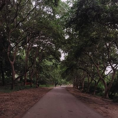 assalpunekar25's profile picture. IIT BHU '26 | Cule❤️💙 |