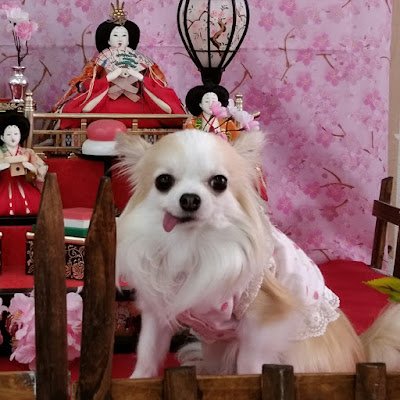 7350Minnie's profile picture. 