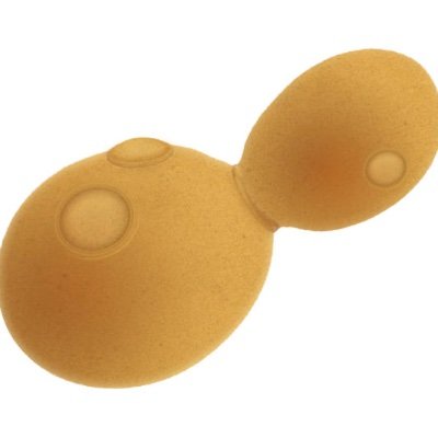 haploteam's profile picture. Mostly yeasts...