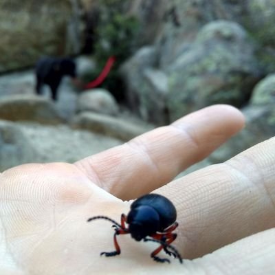 pasados de rosca y a la deriva.-