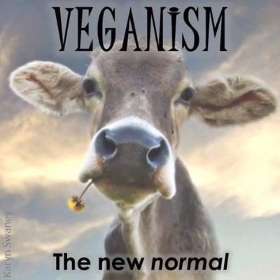 Progressive to the bone, Plant based. Earth justice. Vegan for the animals and the earth. EV driver 🚙. Always vote blue!