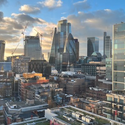 OmgMyTrader's profile picture. FI Macro Trader complaining about markets