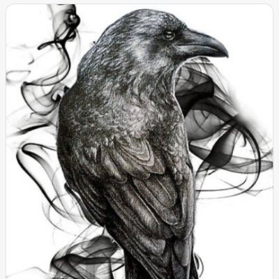 mazyar67's profile picture. 