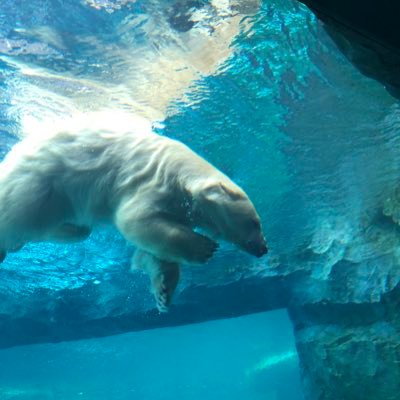 anchanyuchi's profile picture. サラリーマンらしくないサッカー好きの会社員 だけど、靭帯断裂してからまともにサッカーできないから、もっぱら代表応援