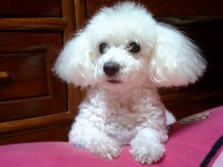 godeb1003's profile picture. 신나구 즐겁게 살기 위해 노력하는 사람^^난 그냥 나인 사람// 더이상 말이 필요해?! ..^.^..