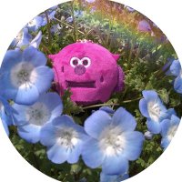 コロンぴ (@coronpi331510) 's Twitter Profile Photo