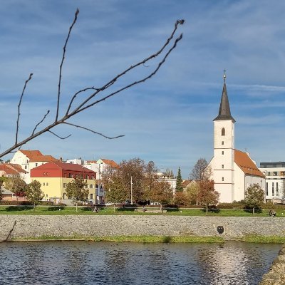 CisticViki's profile picture. Komentátor