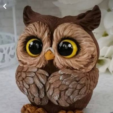 Steplor's profile picture. 