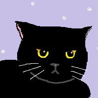 Parad0x Profile