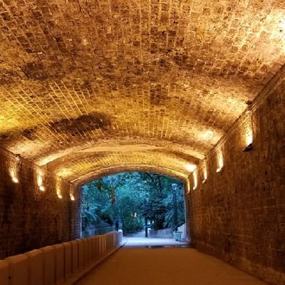 Kitter_44's profile picture. (Retweets do not mean endorsements. Facts are facts and opinions are my own.)