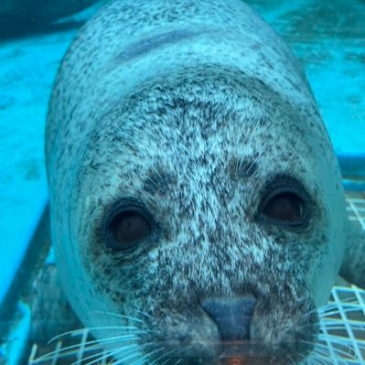 stringbeans_1's profile picture. 2023.4- kaggle の勉強始めました！ 文系大学4年生