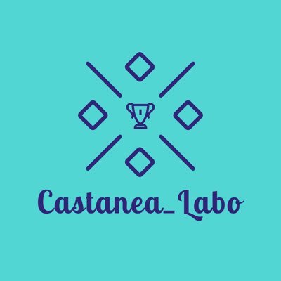 Castanea(カスタネア)_Laboです。 リハビリテーション病院のPTで構成されています。 理学療法等の為になる発信を行っていけたらと思ってます😄 たくさんセラピストの皆さんと交流したいです😆