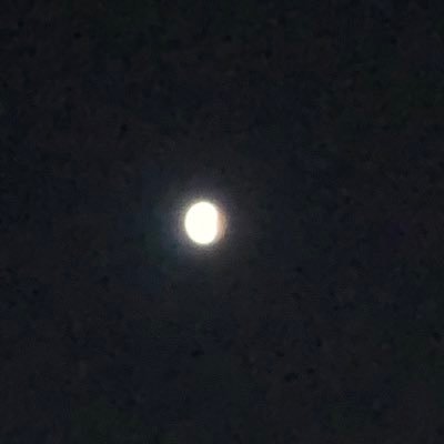 satsukirain0526's profile picture. Just a small town girl Living a lonely world