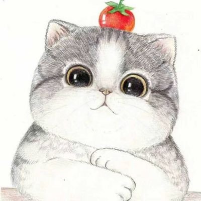 Saint__siya's profile picture. MingEr🌶️