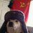 DogBRUniversal's Twitter (X) avatar