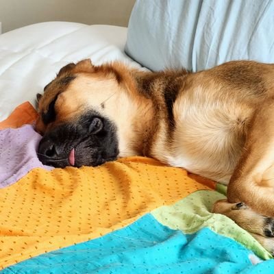katie_wagner29's profile picture. I would always rather be napping.