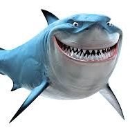 Anonimo32912971's profile picture. ISURUS REY DE LATAM 😎