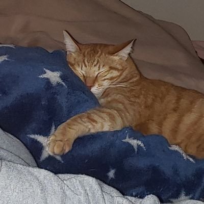 mikuayu11011's profile picture. 自由気ままに旅してく！

パチンコ楽し！スロット好き！　Aタイプ大好き！　
猫ちゃんは癒し！