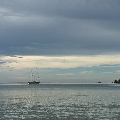 sailingtree's profile picture. 