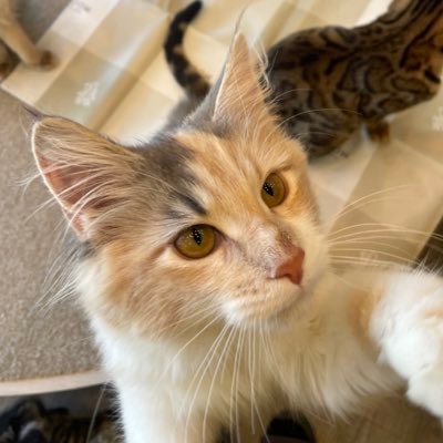 1fP0gJPD60zqRk2's profile picture. 