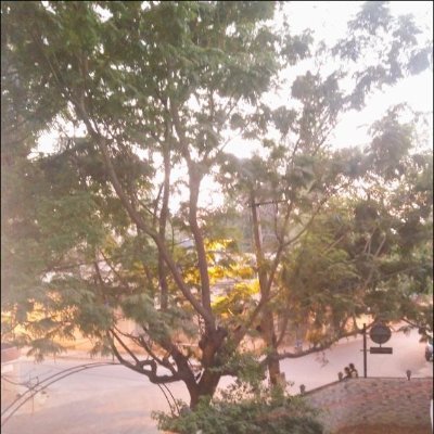 SyedAhisan's profile picture. 